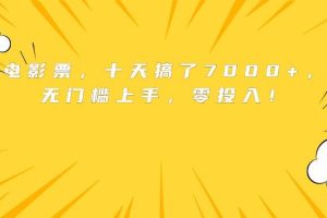 (15821期)靠卖电影票,十天搞了7000+,小白无门槛上手,零投入!