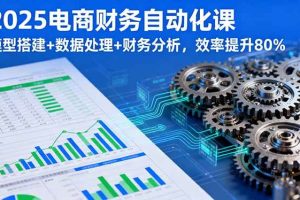（16021期）2025电商财务自动化课，模型搭建+数据处理+财务分析，效率提升80%