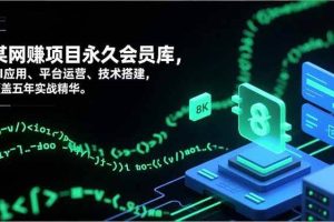 （16790期）网赚项目永久会员库，AI应用、平台运营、技术搭建，覆盖五年实战精华