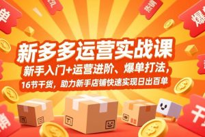 (17342期)拼多多运营实战课,新手入门+运营进阶、爆单打法,16节干货,助力新手店铺快速实现日出百单