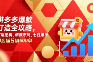 (17346期)拼多多爆款打造全攻略,底层逻辑、爆款布局、七日爆单,单店铺日销500单