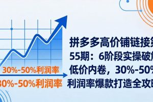 (17698期)拼多多高价铺链接第55期:6阶段实操破解低价内卷,30%-50%利润率爆款打造全攻略